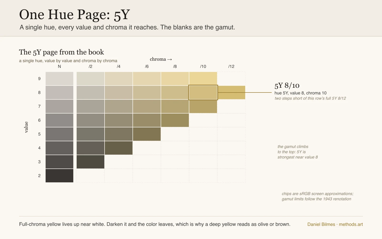 The 5Y page from a Munsell book as a chip grid: value rows 9 down to 2, chroma columns 2 to 12 across, the neutral gray N column at left, and a gamut that climbs to the top so the strongest yellow sits high near value 8 and falls away into olive and brown as it darkens, with the 5Y 8/10 chip annotated.