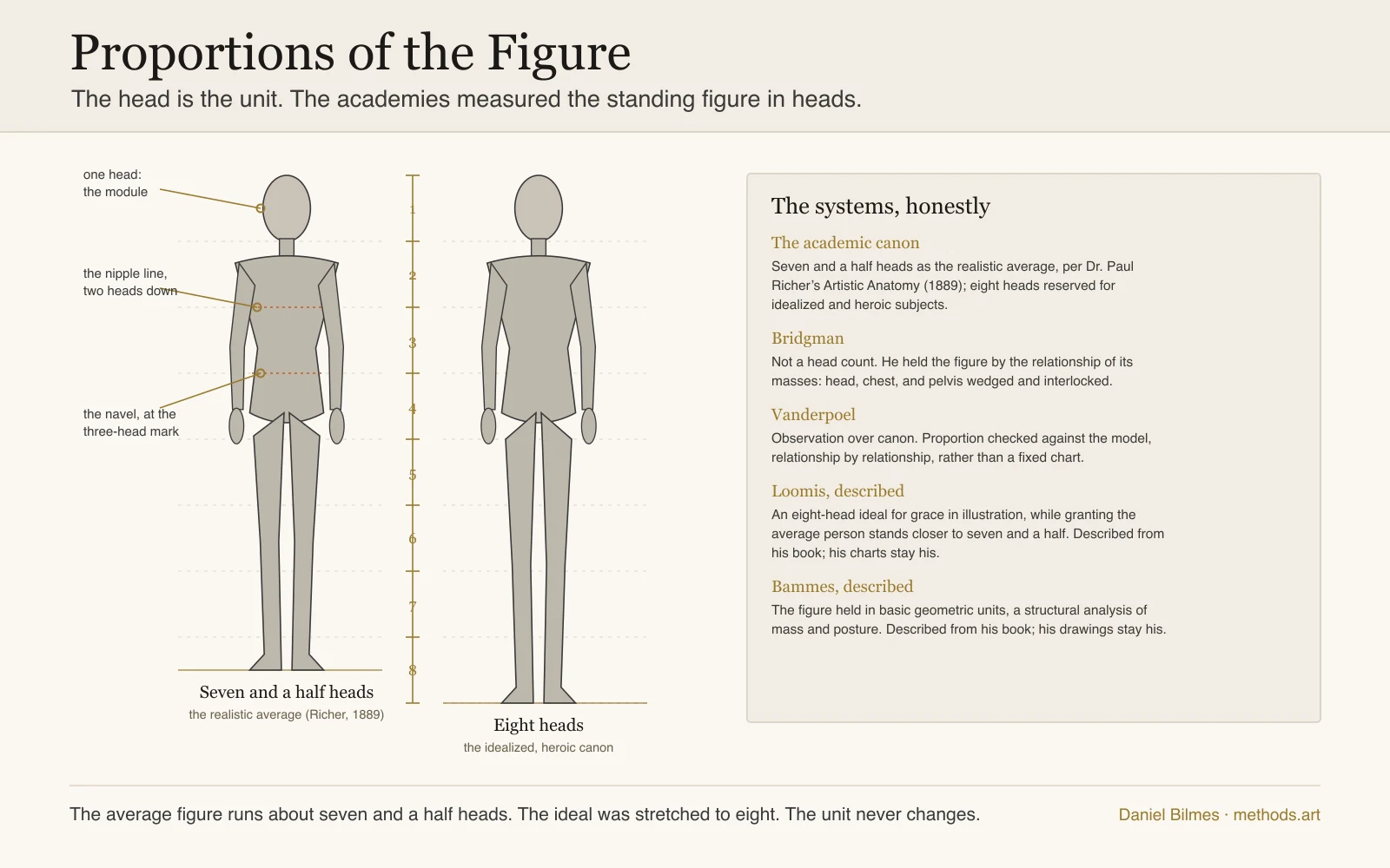 Proportions of the figure measured in heads: a standing figure at seven and a half heads, the realistic average Paul Richer published in 1889, beside the same figure at the idealized eight-head canon the academies kept for heroic subjects, with the head-unit rail between them, the nipple line falling at the two-head mark and the navel at the three-head mark, and the other systems noted honestly, Bridgman holding the figure by mass relationships rather than a head count, Vanderpoel checking proportion against the model, Loomis and Bammes described from their books rather than reproduced.