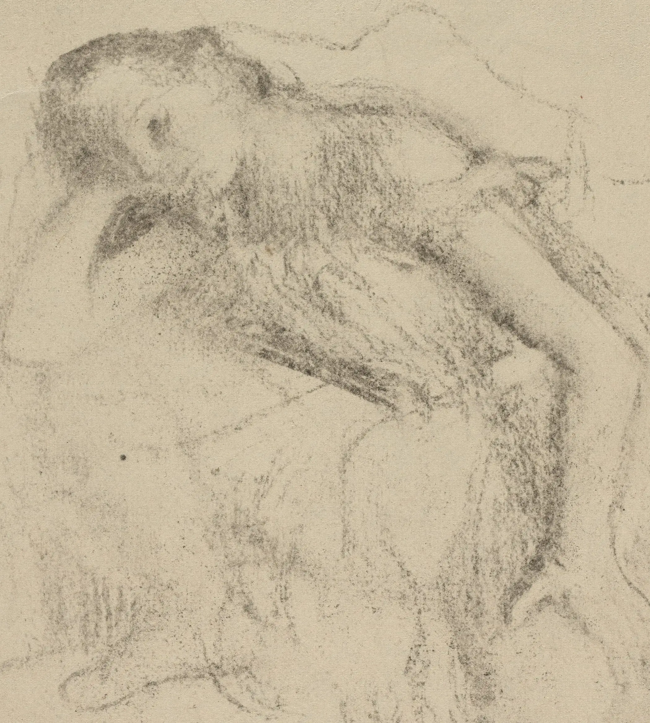 Detail of Dancer at Rest: charcoal alone, the bodice built from short parallel strokes and the paper left doing every light in it. The rejected contours are still lying beside the ones he kept, so the search is visible on the sheet.