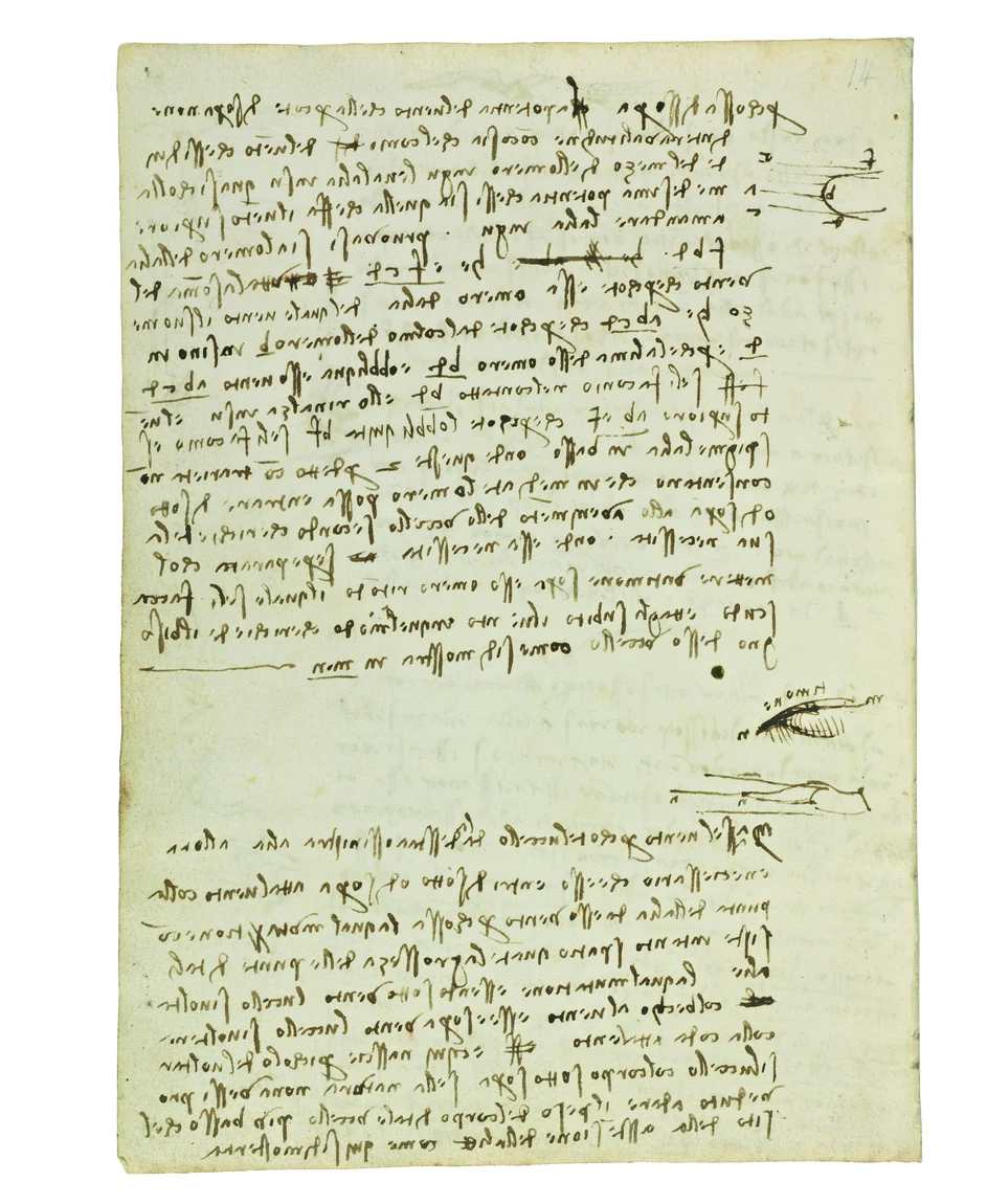 A page from the Codex on the Flight of Birds: the notes run right to left in mirror script, with small diagrams dropped into the margin wherever the words needed a picture. He filled thousands of pages like this one, and on them the drawing and the thinking are the same act.