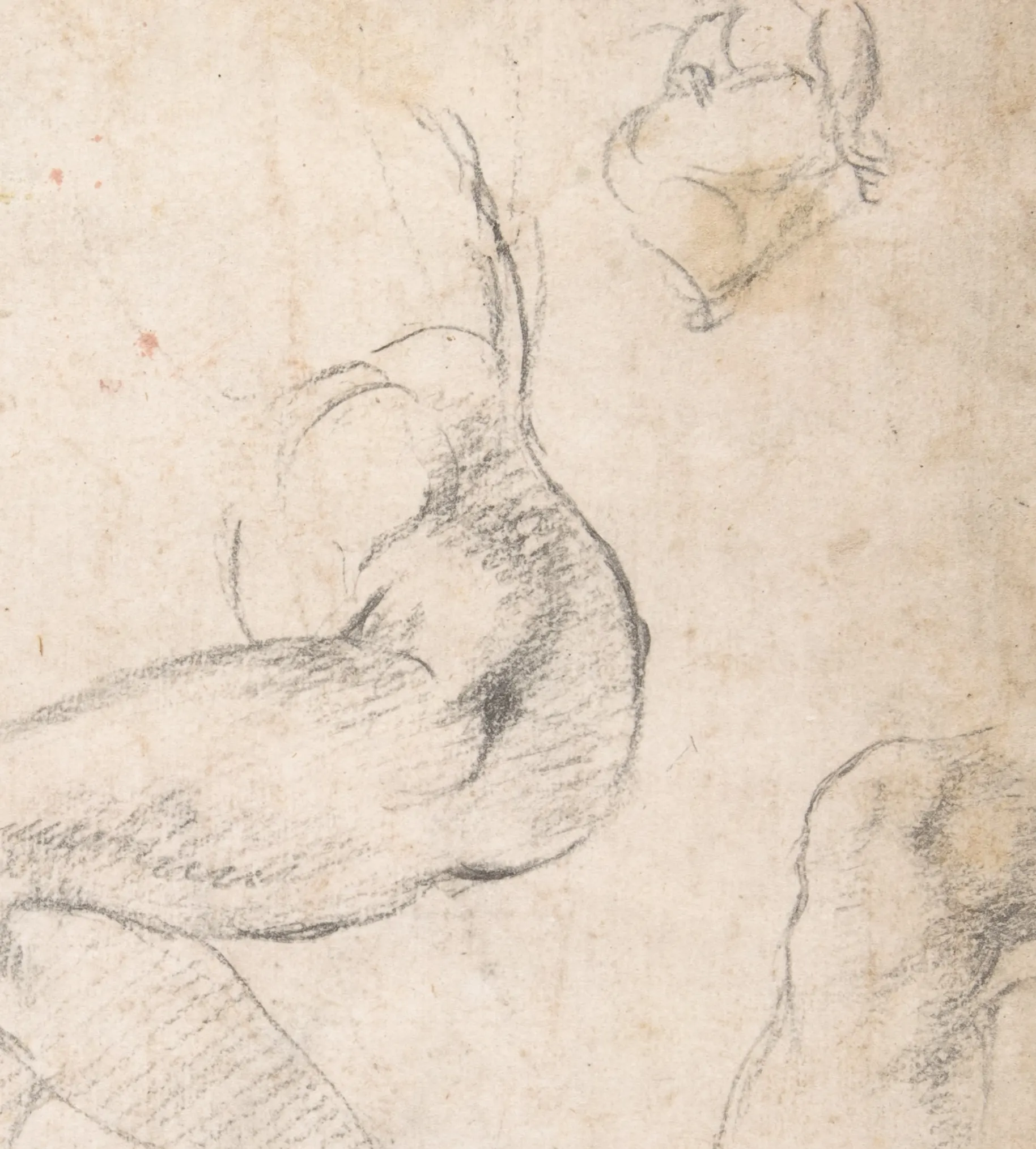 Detail of the Libyan Sibyl sheet: the back and the shoulder are built out of short chalk strokes laid across one another, with the darkest note driven in under the shoulder blade. The line of the arm is drawn twice and the stronger one left standing, which is the drawing deciding where the form actually turns.