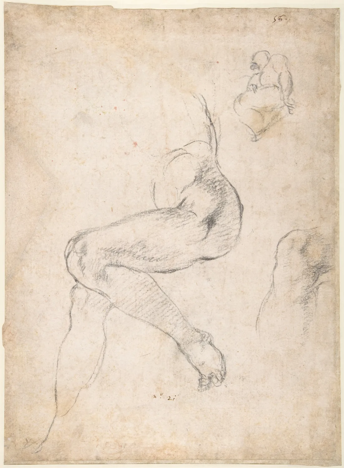 Studies for the Libyan Sibyl, red chalk on a sheet about twenty nine by twenty one centimetres. The big study is the back and shoulders. Around it he went back for the parts that would not come: the left foot and its toes at the bottom, the shoulder again at the right, the hand twice, and a small seated figure at the top.
