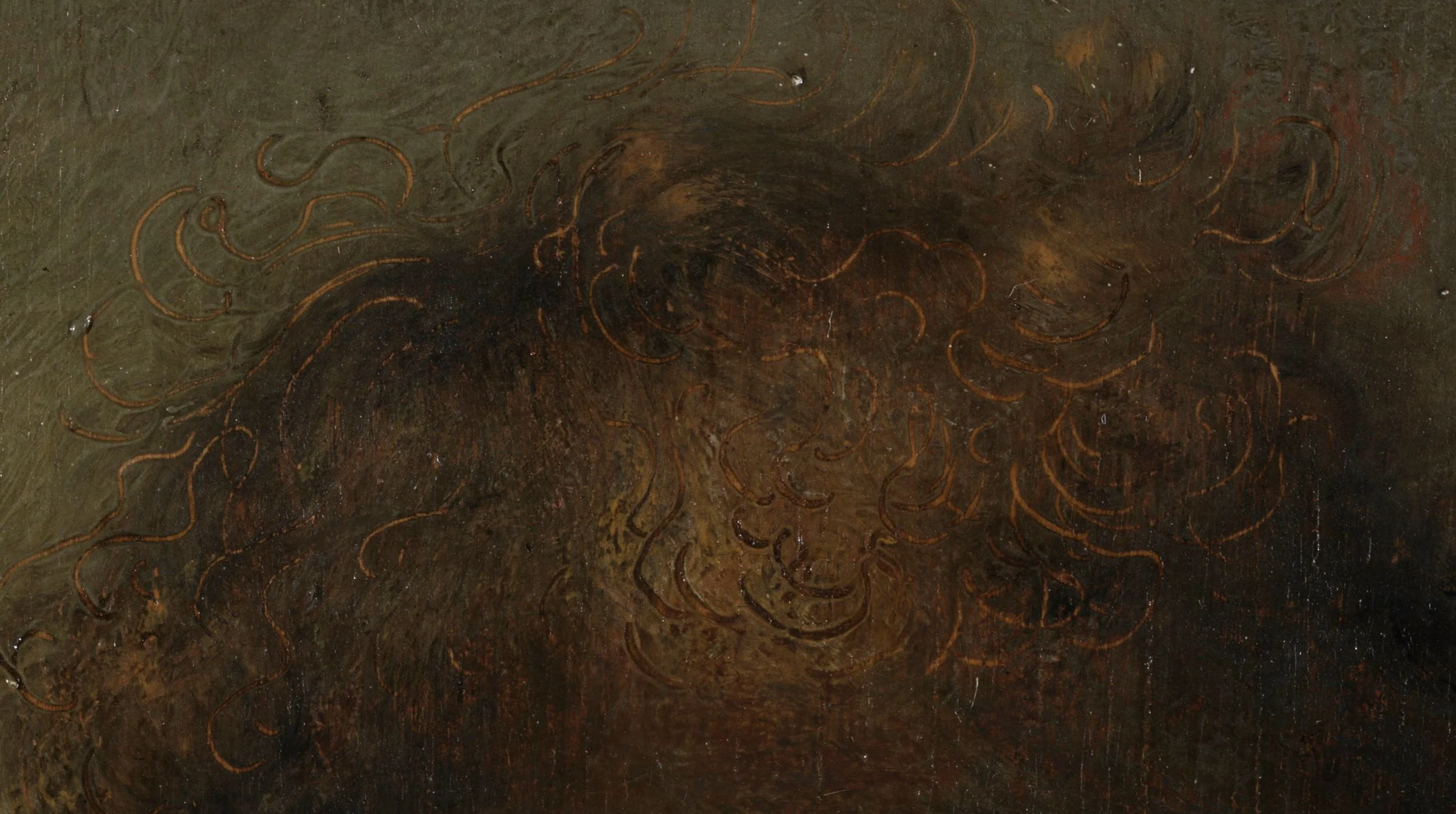 Detail of the 1629 self portrait, painted on an oak panel about sixteen centimetres tall: the curls are not painted on, they are scratched into the wet dark paint with a hard point, so the warmer layer underneath comes back up as the lit edge of the hair.