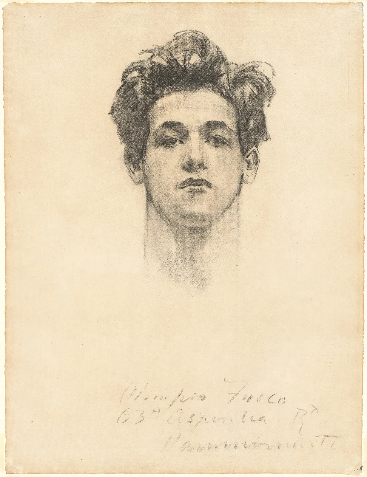 Olimpio Fusco, one of the professional models Sargent kept drawing from, the head lit from below and the hair cut in with fast open strokes while the throat fades into untouched paper. A working study, carried only as far as it needed to go.