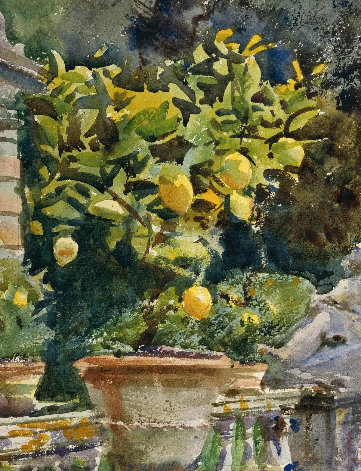 Detail of Villa di Marlia, Lucca: A Fountain: the lemon tree built up in layered transparent washes, the ripe fruit lifted back to the light of the paper underneath.