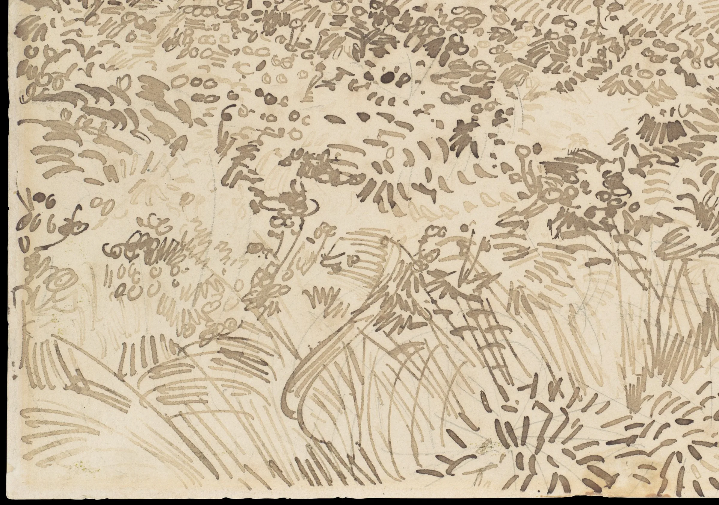 Detail of the reed pen Wheat Field: the graphite lines he set down first are still visible under the ink, and everything over them is dots, hooks, blunt dashes and short parallel strokes. A reed nib cannot taper, so the mark can only change by pressure and by how much ink is left in it.