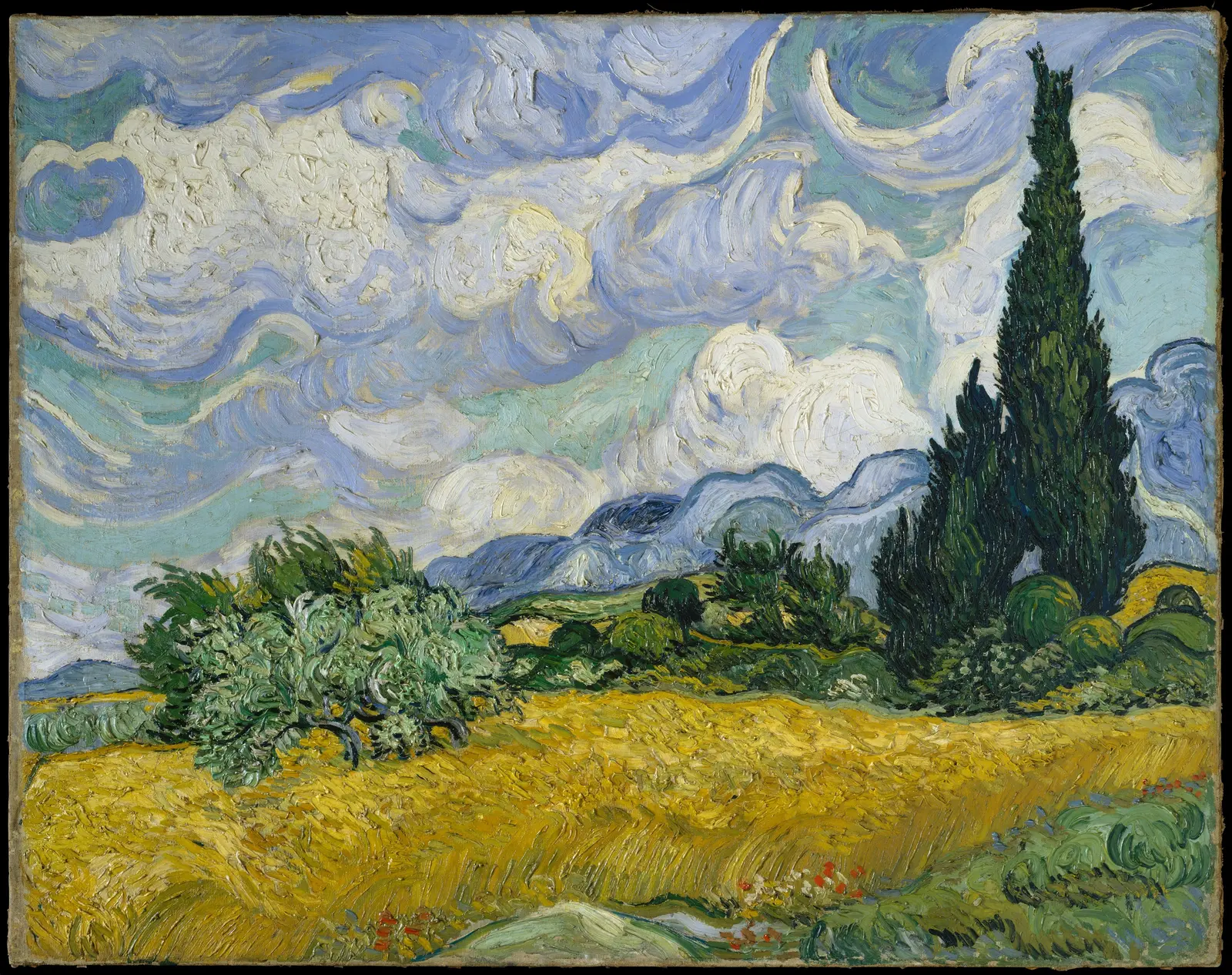 Wheat Field with Cypresses, painted at Saint Remy in 1889 on a canvas seventy three by ninety three centimetres. Every part of it is built from strokes that run the way the thing itself runs. The wheat lies over in flat horizontal drags, the olive bush curls back on itself, the cypress climbs in one continuous twist, and the cloud turns. Nothing is blended, so the direction of the mark is doing the drawing.