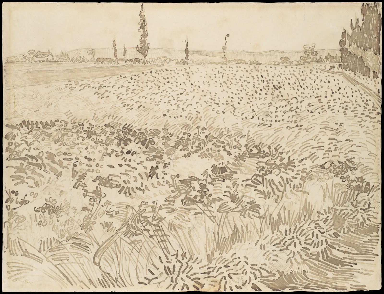 Wheat Field, drawn at Arles in July 1888 on a sheet twenty four by thirty two centimetres. The far hills are one thin line, the middle field is stippled in dots, and the near corn is drawn in the same hooked strokes he was putting down in paint that month. The paper carries the light and the ink carries everything else.